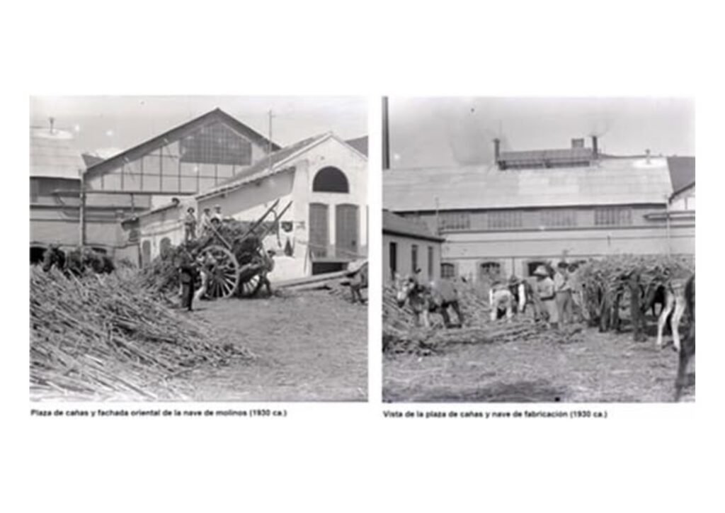 La Plaza de las Cañas era uno de los espacios más importantes de la Fábrica de Nuestra Señora del Pilar. En este amplio recinto se recibía toda la caña de azúcar procedente de la zafra antes de iniciar su transformación.